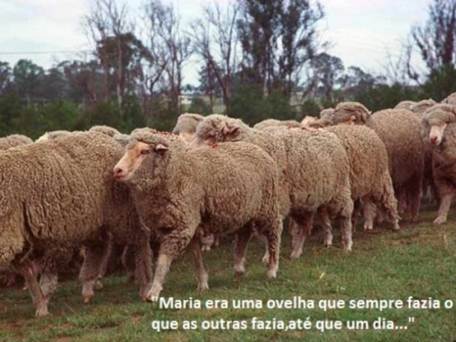 A "Maria vai com as outras"