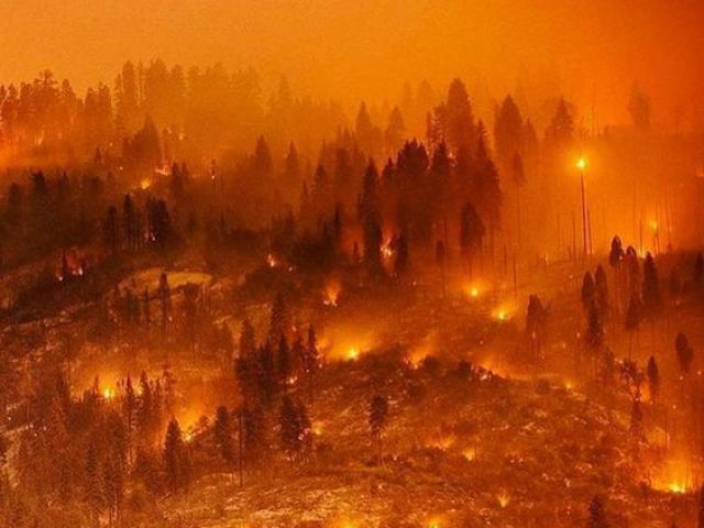 "Seja o ardente e poderoso incêndio em meio a medíocres gotinhas de água inocentemente ingênuas que atrasam este mundo com sua esperança em vão. "