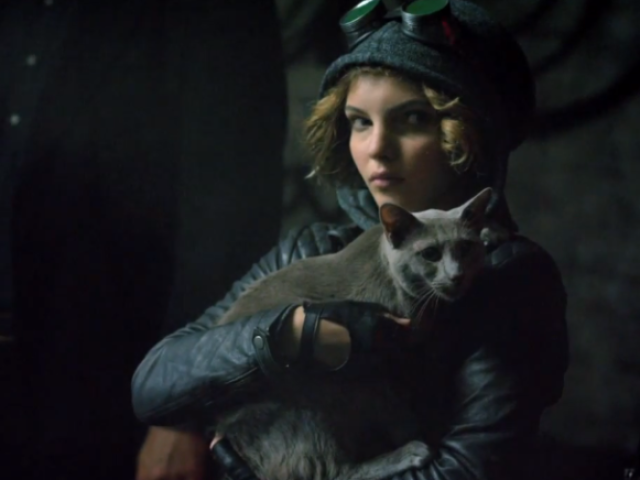 Selina Kyle(Mulher-Gato)