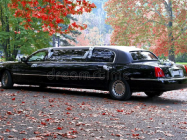 Limousine