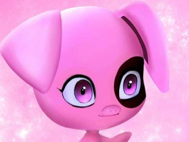 Um Porco