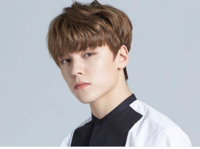 Vernon (seventeen)