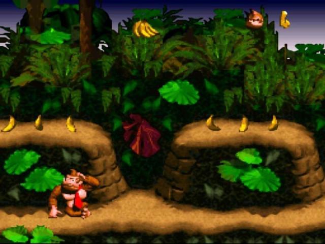 Donkey Kong Country