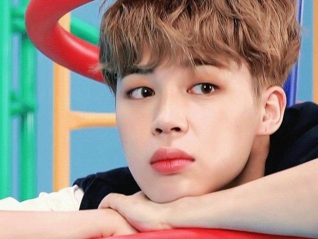 Você realmente conhece o Jiminie?