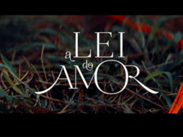 A lei do amor