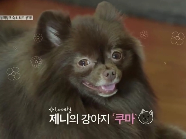 O sorriso de Kuma