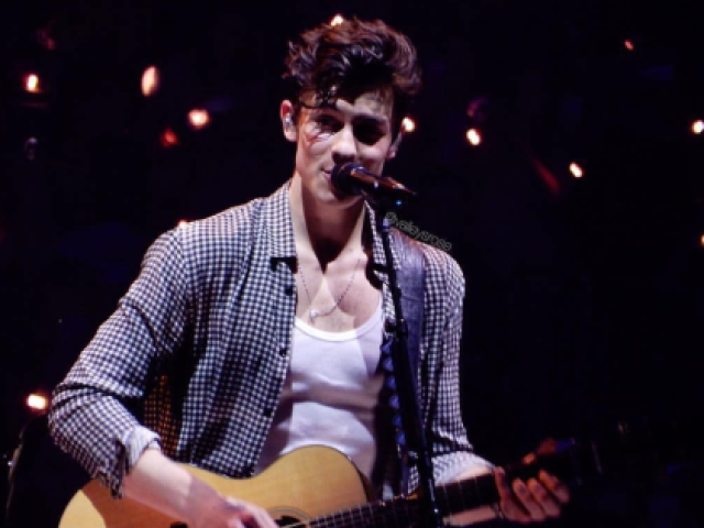 Você realmente conhece o Shawn Mendes?