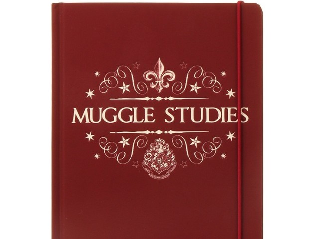 Muggle studies