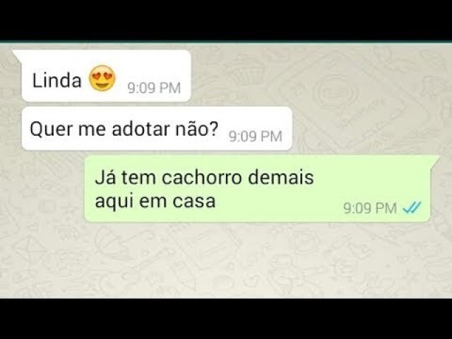 Já tenho muito cachorro aqui em casa. Pra quê mais um?