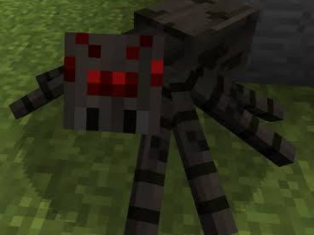 Aranha