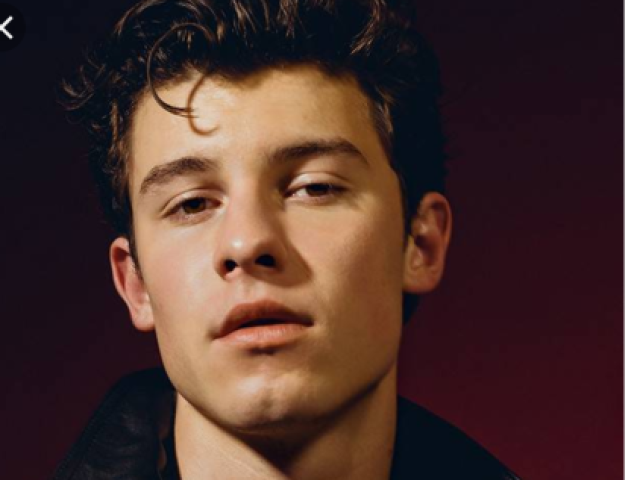 Shawn Mendes