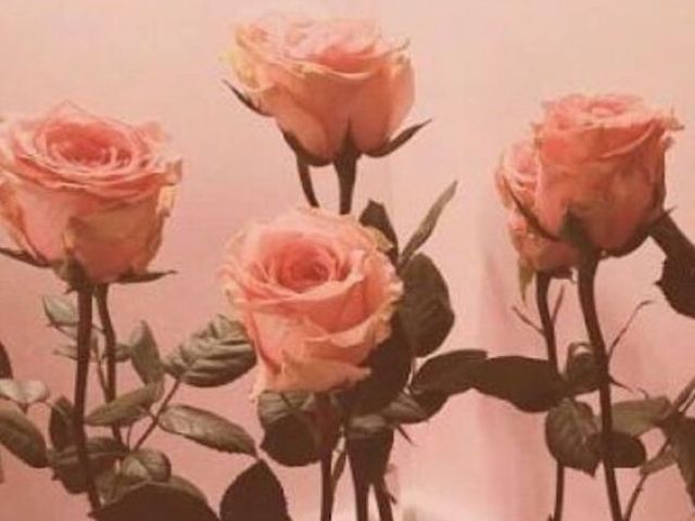 ♥Soft