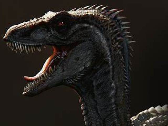 Velociraptor
