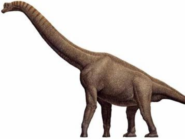 Braquiossauro
