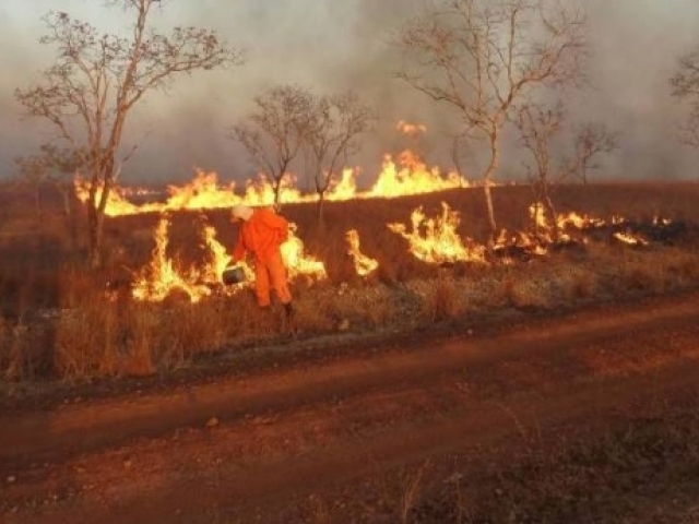 Não colocar fogo no meio ambiente