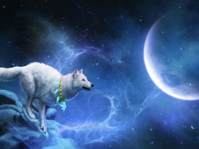 Lobo da lua