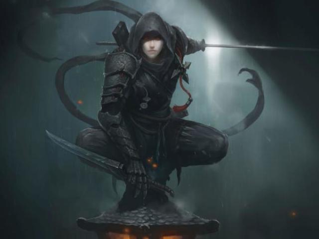 Ninja