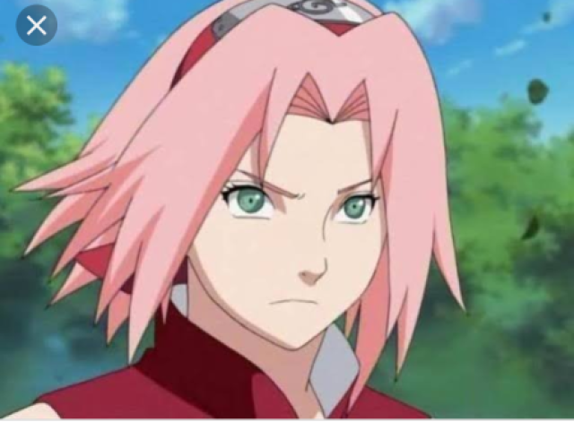 Sakura