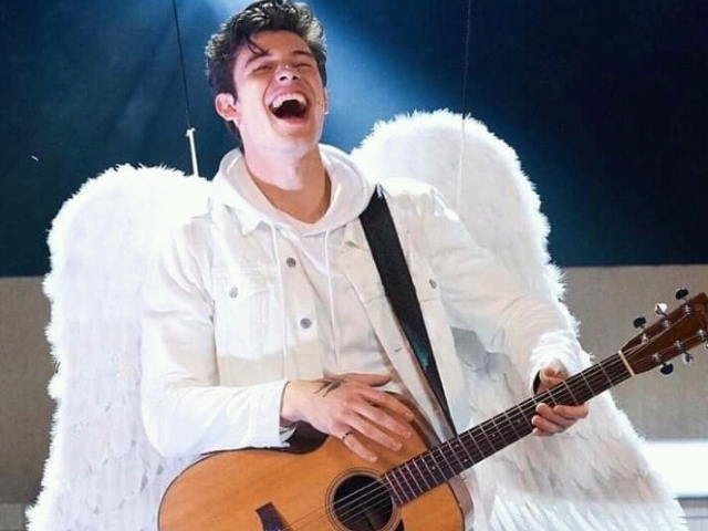 O quanto você conhece shawn mendes!?
