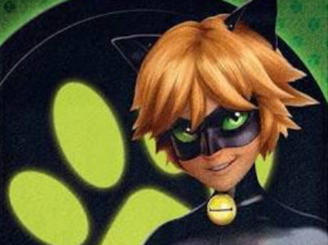 Cat noir