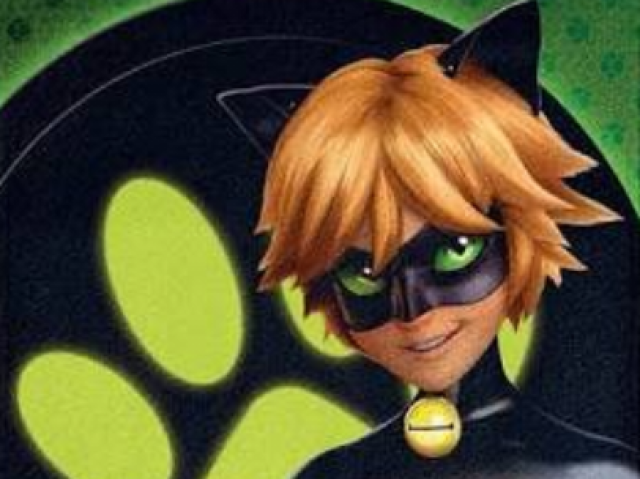 Cat noir