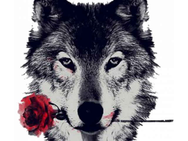 Lobo