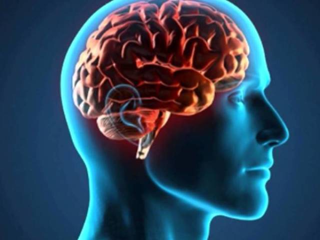 Você realmente conhece o cérebro humano?