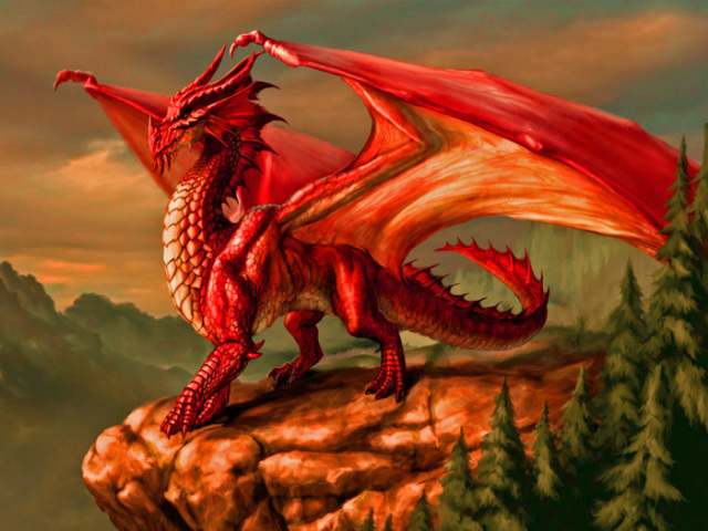Dragão