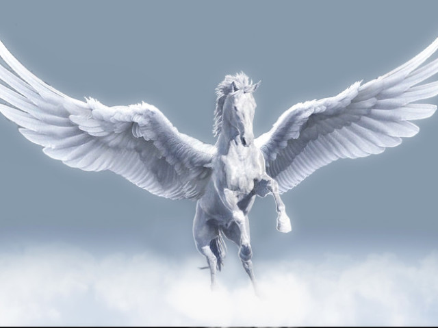 Pegasus