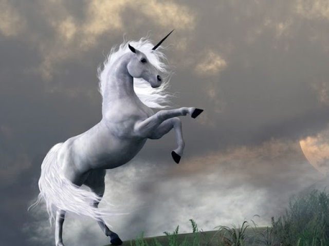 Unicórnio