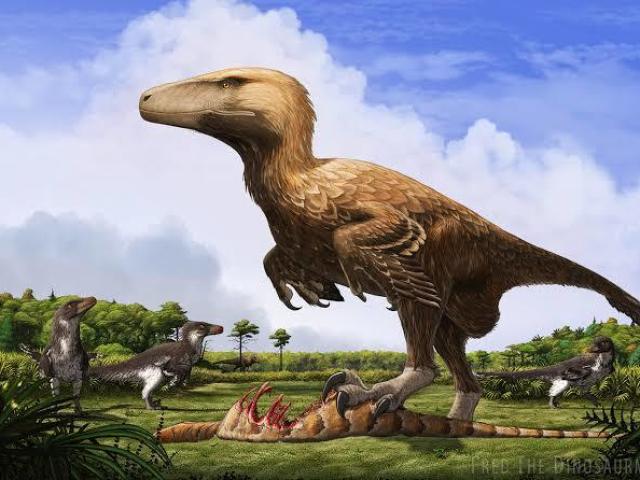 Dakotaraptor