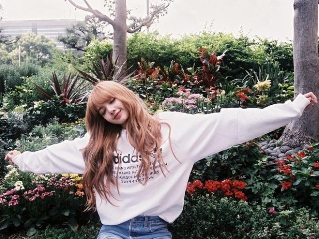 Lisa