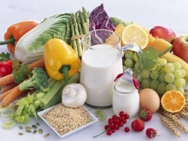 Alimentação Lactovegetariana