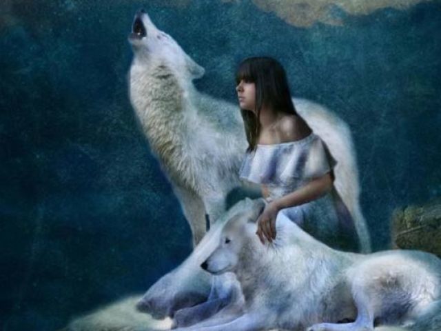 Lobo
