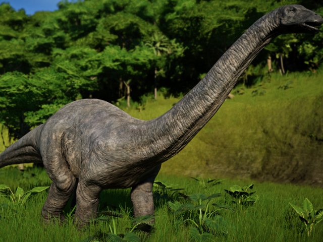 Apatossauro
