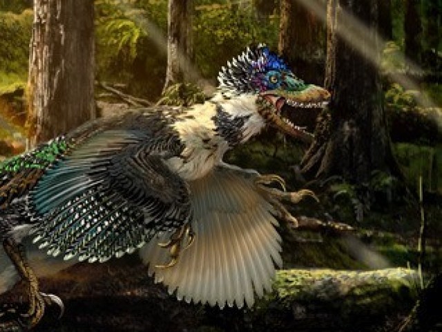 Utharaptor