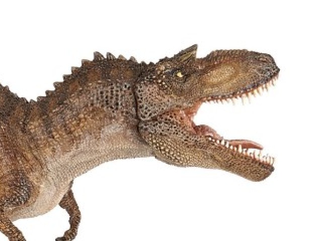Gorgossauro