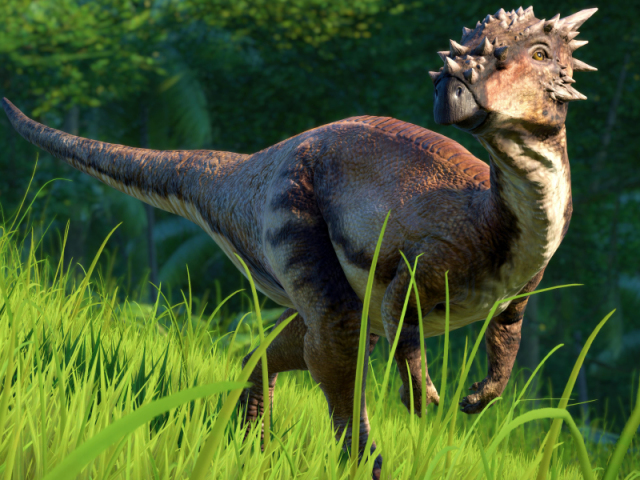 Dracorex