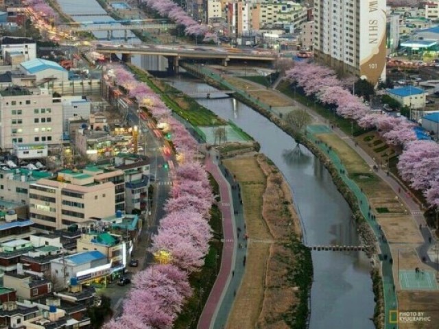 Da um role pela cidade de Daegu