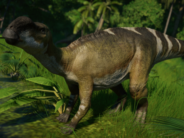 Mutaburrassauro