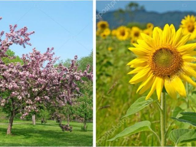 Primavera e verão