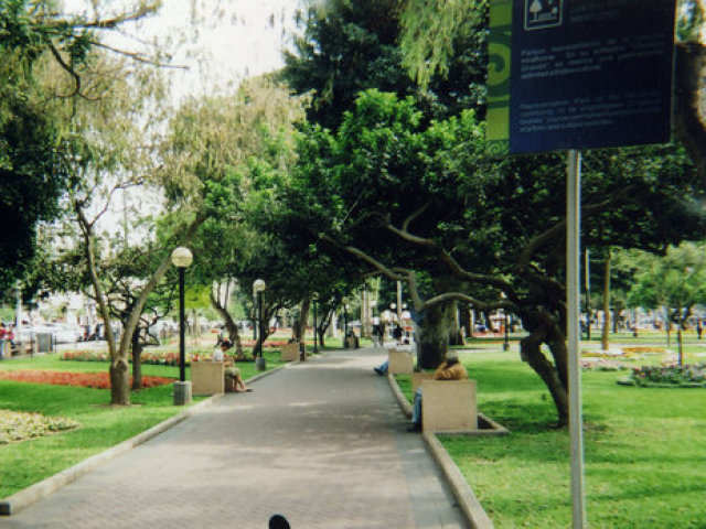 No parque que fica perto da minha casa, no verão