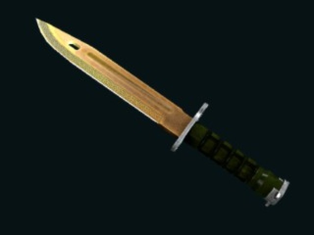 Baioneta (★ StatTrak) | Sabedoria