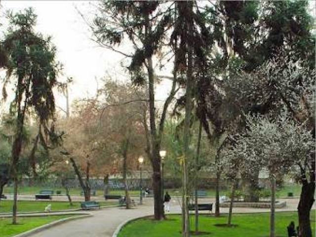 Você conheceu ele no parque, e ele te ajudou com seu bichinho de estimação.