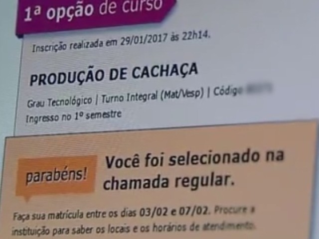 Produção de Cachaça