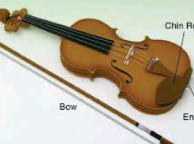 Violino