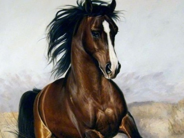 Cavalo