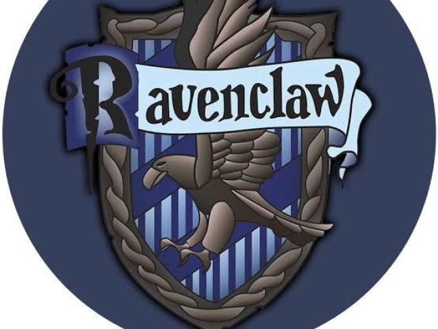 Ravenclaw 💙😎