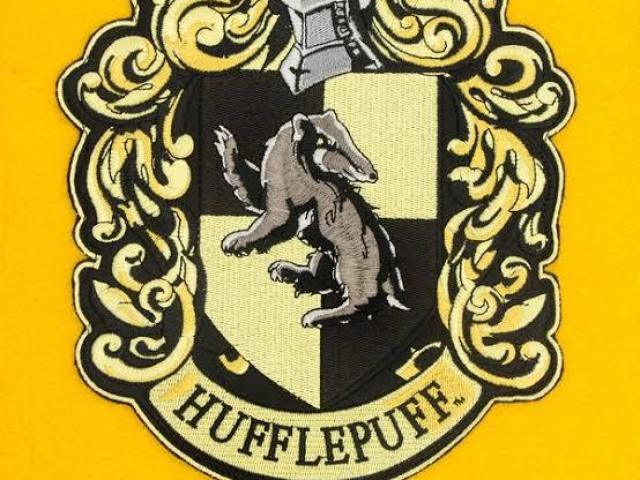 Hufflepuff 💛😍