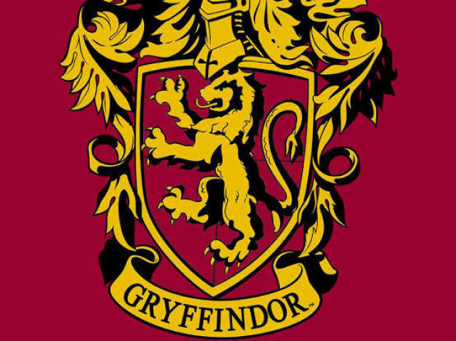 Gryffindor ❤️😉
